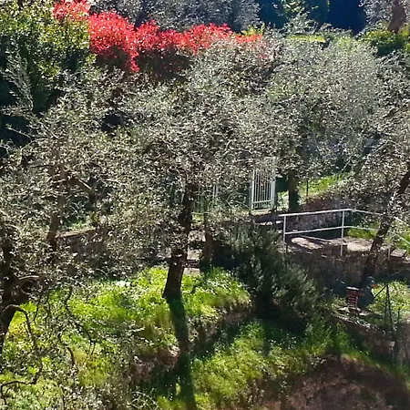 Eden 3*